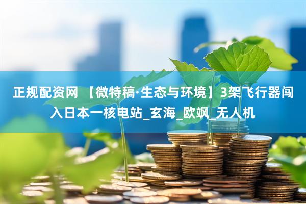 正规配资网 【微特稿·生态与环境】3架飞行器闯入日本一核电站_玄海_欧飒_无人机